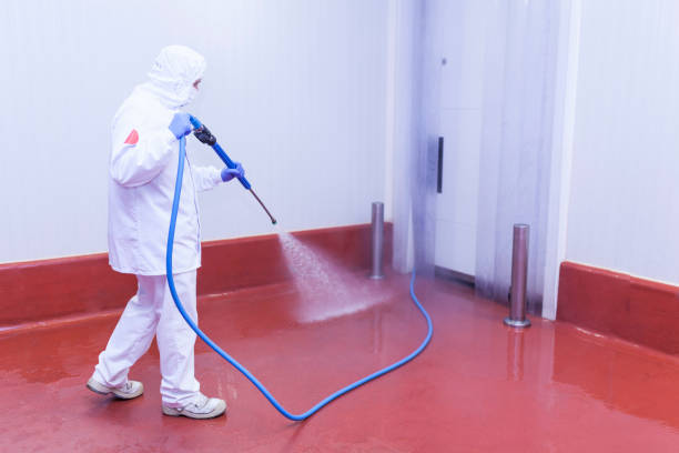 Trusted Carmichael, CA  Pressure Washing Services Experts